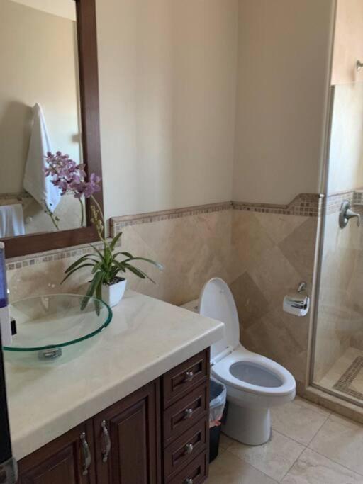 Access - Beach Penthouse Papas And Beer 2 Miles Wifi 로사리토 외부 사진